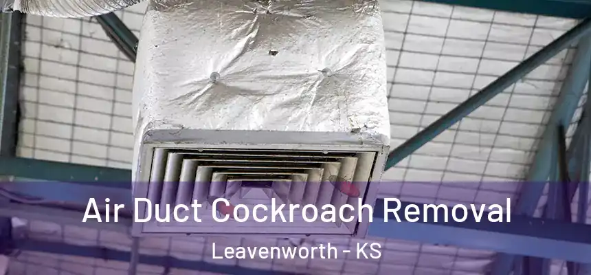 Air Duct Cockroach Removal Leavenworth - KS