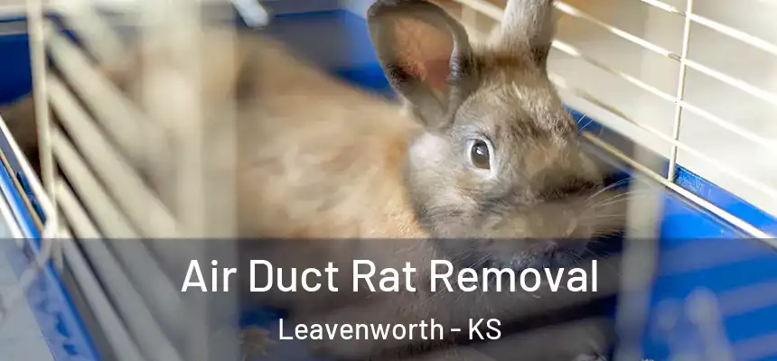  Air Duct Rat Removal Leavenworth - KS