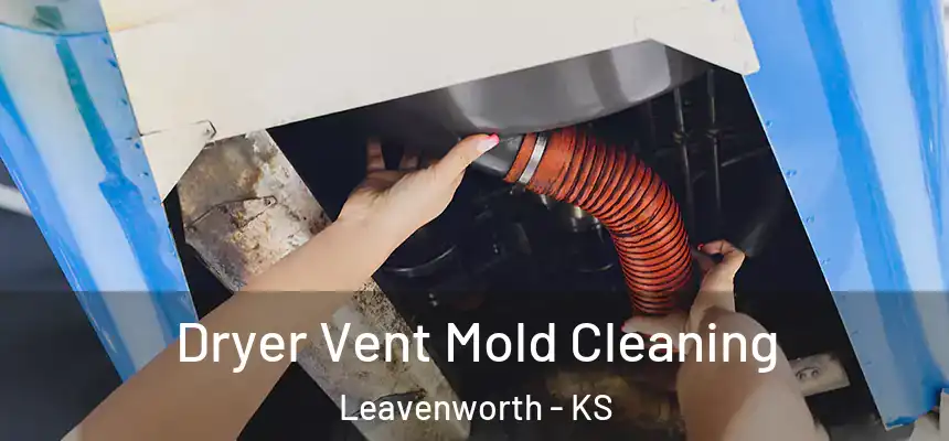 Dryer Vent Mold Cleaning Leavenworth - KS