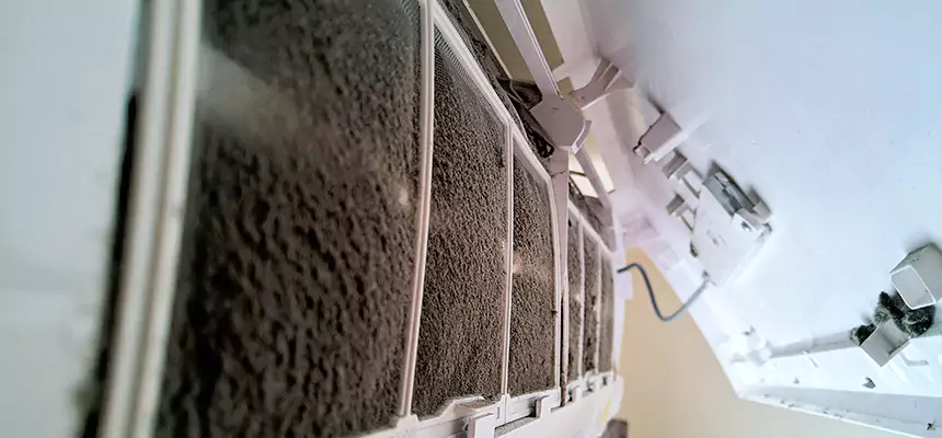 Preventive Air Duct Bacteria Removal in Leavenworth