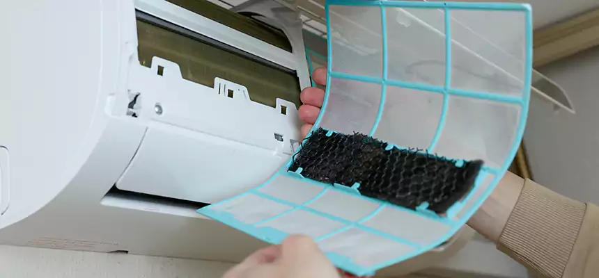 Gentle Ductwork Odor-Control Pet Dander Duct Cleaning in Leavenworth, KS