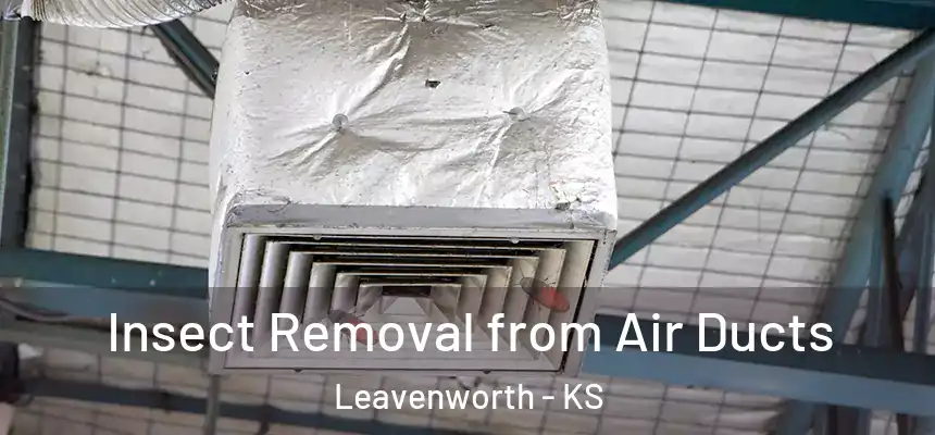 Insect Removal from Air Ducts Leavenworth - KS