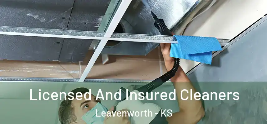 Licensed And Insured Cleaners Leavenworth - KS