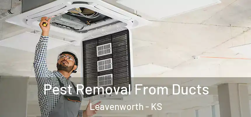 Pest Removal From Ducts Leavenworth - KS