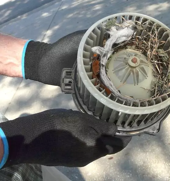 About Air Duct Mice Removal in Leavenworth, KS