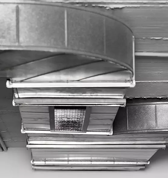 Professional Air Duct Pest Removal in Leavenworth, KS