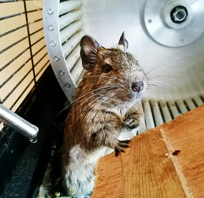 Why Homeowners & Businesses Trust Us Leavenworth, KS